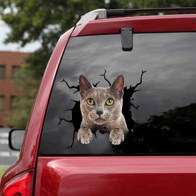[dt0971-snf-tnt]-russian-blue-cat-crack-car-sticker-cat-lovers