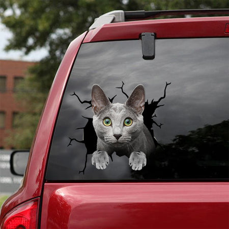 [dt0972-snf-tnt]-russian-blue-cat-crack-car-sticker-cat-lovers