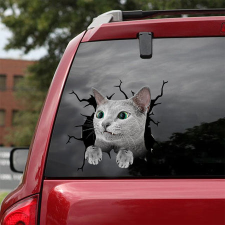 [dt0974-snf-tnt]-russian-blue-cat-crack-car-sticker-cat-lovers