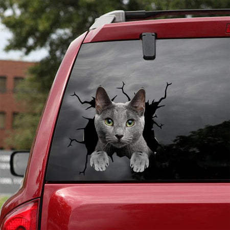 [dt0977-snf-tnt]-russian-blue-cat-crack-car-sticker-cat-lovers