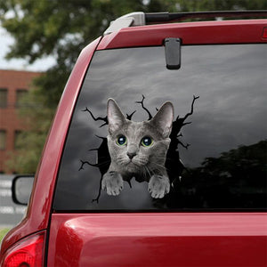 [dt0979-snf-tnt]-russian-blue-cat-crack-car-sticker-cat-lovers