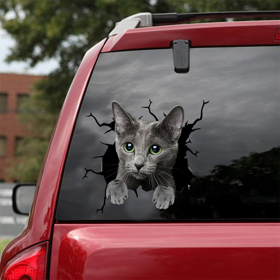 [dt0980-snf-tnt]-russian-blue-cat-crack-car-sticker-cat-lovers