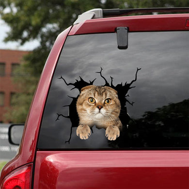 [dt0982-snf-tnt]-scottish-fold-cat-crack-car-sticker-cat-lovers