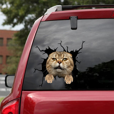 [dt0984-snf-tnt]-scottish-fold-cat-crack-car-sticker-cat-lovers
