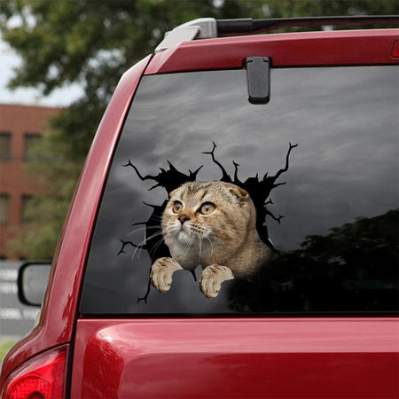 [dt0985-snf-tnt]-scottish-fold-cat-crack-car-sticker-cat-lovers