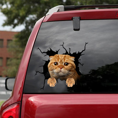 [dt0987-snf-tnt]-scottish-fold-cat-crack-car-sticker-cat-lovers