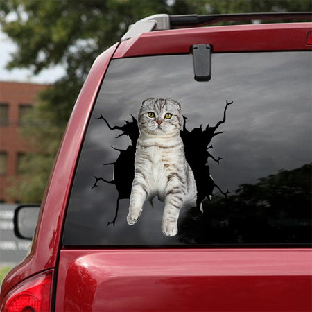 [dt0988-snf-tnt]-scottish-fold-cat-crack-car-sticker-cat-lovers