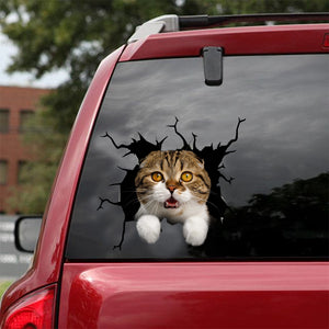 [dt0990-snf-tnt]-scottish-fold-cat-crack-car-sticker-cat-lovers