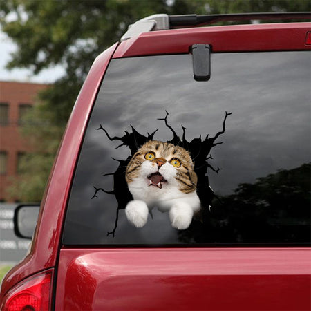 [dt0991-snf-tnt]-scottish-fold-cat-crack-car-sticker-cat-lovers