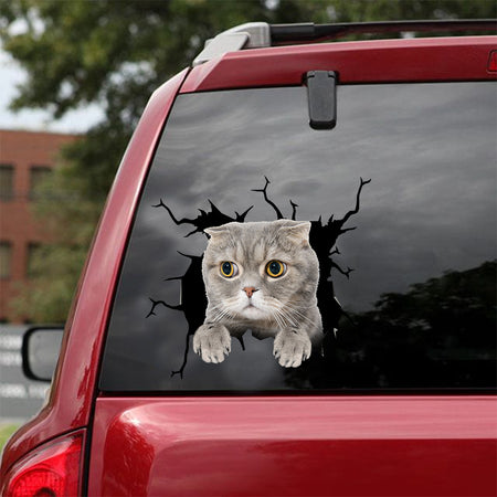 [dt0992-snf-tnt]-scottish-fold-cat-crack-car-sticker-cat-lovers