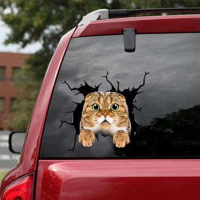 [dt0994-snf-tnt]-scottish-fold-cat-crack-car-sticker-cat-lovers