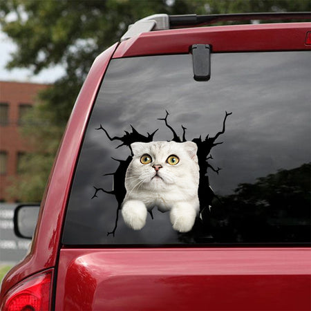 [dt0996-snf-tnt]-scottish-fold-cat-crack-car-sticker-cat-lovers