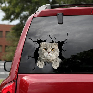 [dt0998-snf-tnt]-scottish-fold-cat-crack-car-sticker-cat-lovers