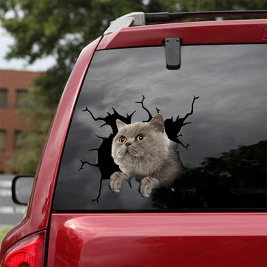 [dt0999-snf-tnt]-scottish-fold-cat-crack-car-sticker-cat-lovers
