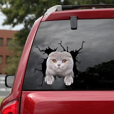 [dt1000-snf-tnt]-scottish-fold-cat-crack-car-sticker-cat-lovers