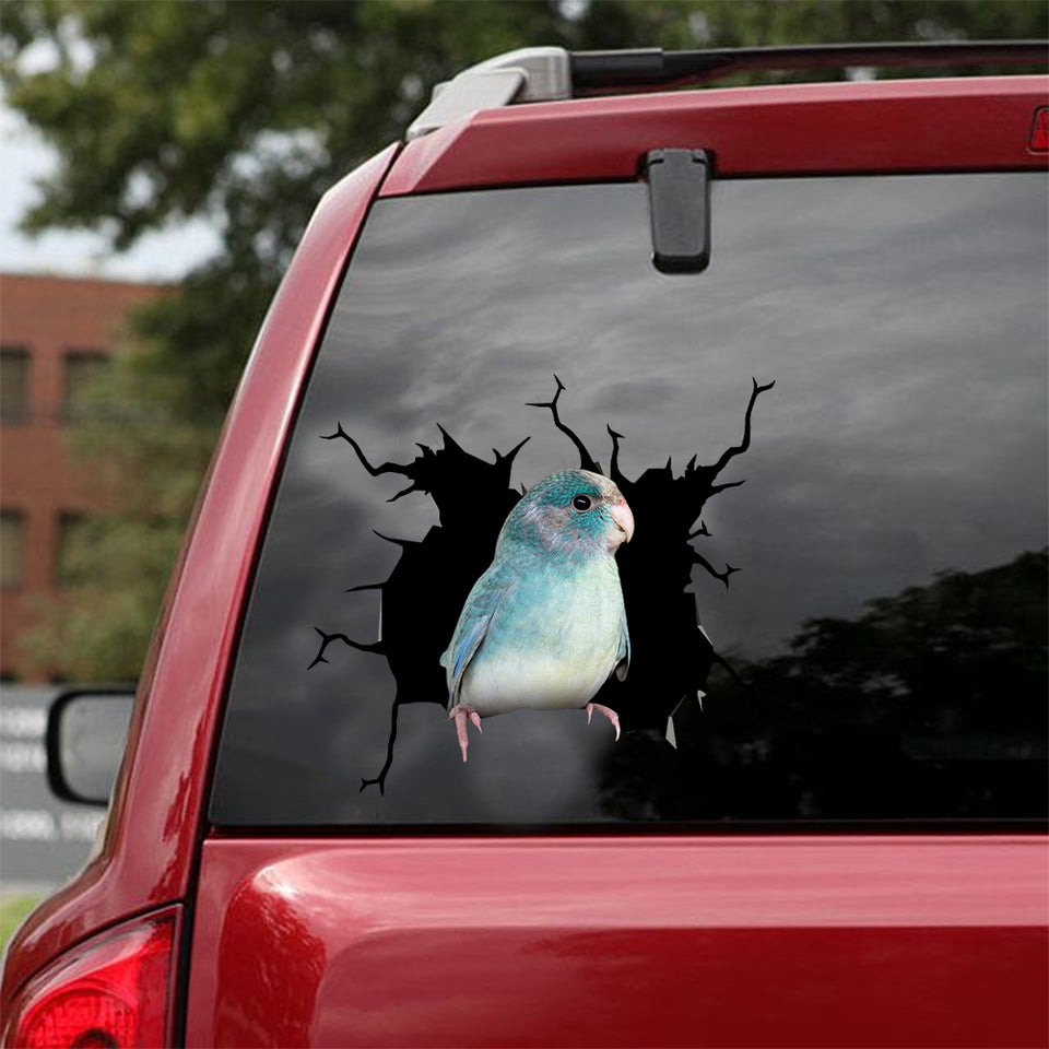 [dt0116-snf-tnt]-kakariki-parrot-crack-car-sticker-birds-lover
