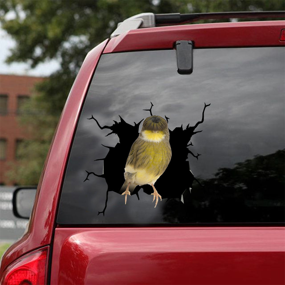 [dt0117-snf-tnt]-crested-canary-crack-car-sticker-birds-lover