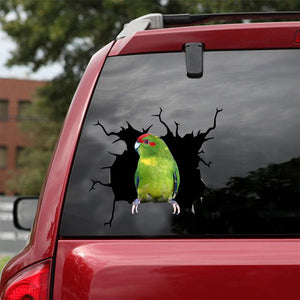 [dt0119-snf-tnt]-kakariki-parrot-crack-car-sticker-birds-lover
