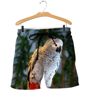 3D Printed African Grey Parrot Tops DT231009
