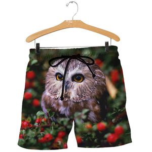 3D All Over Printed Owl Shirts And Shorts DT071112