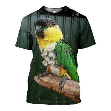 3D printed Black Headed Caique Tops DT100804