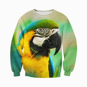 3D All Over Printed Macaw Parrot Shirts And Shorts DT301008