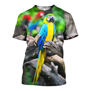 3D All Over Printed Macaw Parrot Shirts And Shorts DT301011