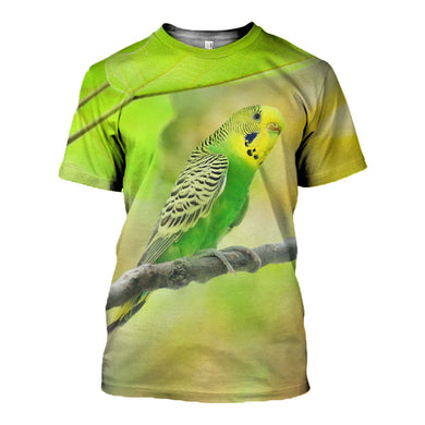 3D printed Budgerigar Clothes DT310703