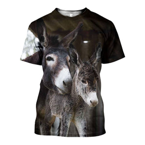 3D All Over Printed Donkey Shirts And Shorts DT011110