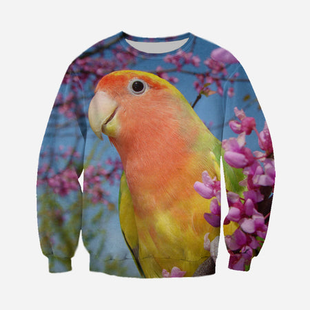 3D printed Eclectus Roratus Clothes DT010801