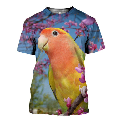 3D printed Eclectus Roratus Clothes DT010801