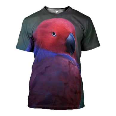 3D printed Eclectus Roratus Clothes DT310701