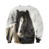 3D Printed Horse T Shirt Long sleeve Hoodie DT060613