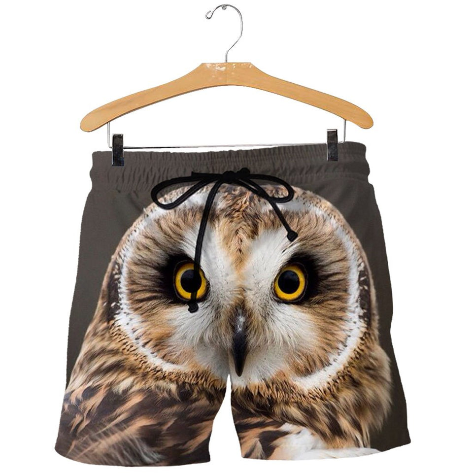 3D All Over Printed Owl Shirts And Shorts DT011104
