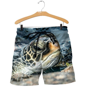 3D Printed Sea Turtle Tops DT181013