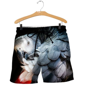3D All Over Printed African Grey Parrot Shirts And Shorts DT191106