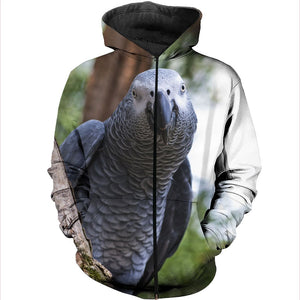 3D All Over Printed African Grey Parrot Shirts And Shorts DT191108