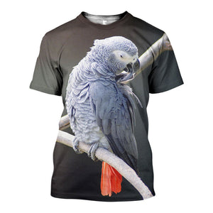 3D All Over Printed African Grey Parrot Shirts And Shorts DT191109