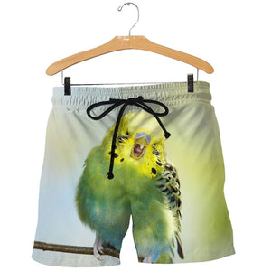 3D All Over Printed Budgie Shirts And Shorts DT08081903