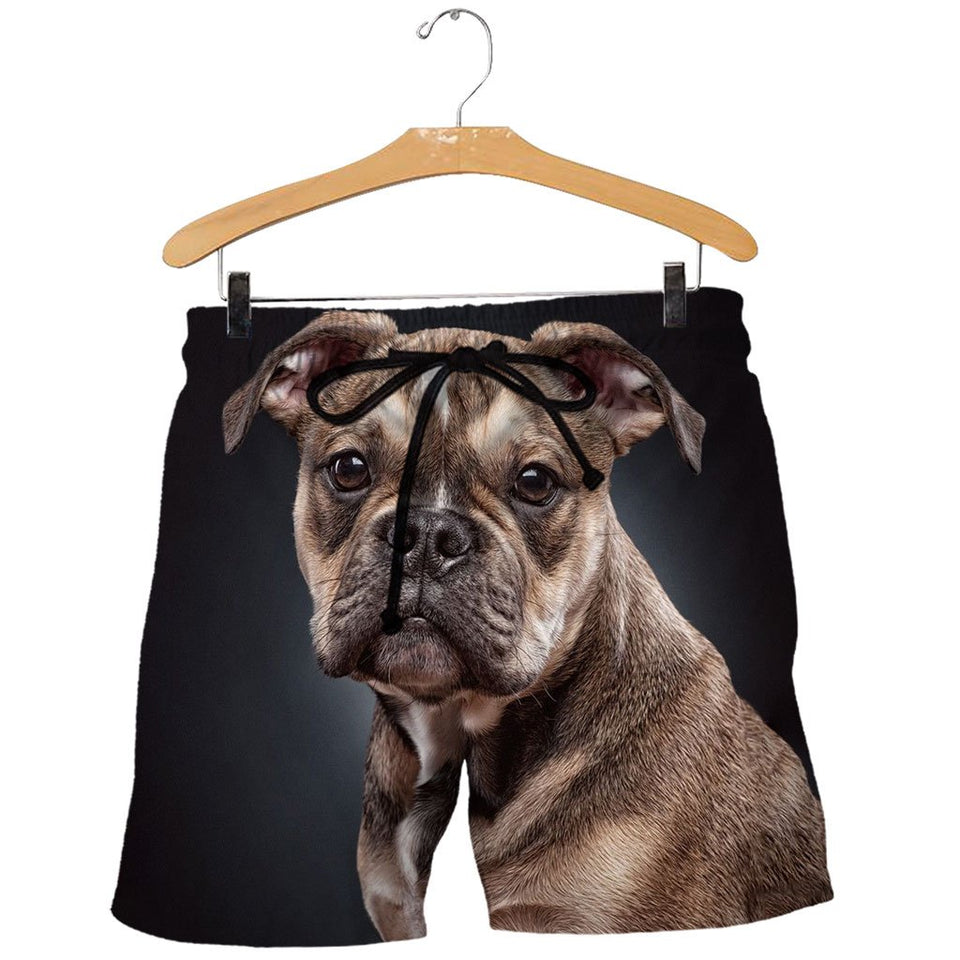 3D All Over Printed Bulldog Shirts And Shorts DT12091901