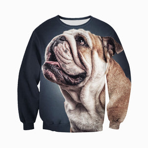 3D All Over Printed Bulldog Shirts And Shorts DT12091906