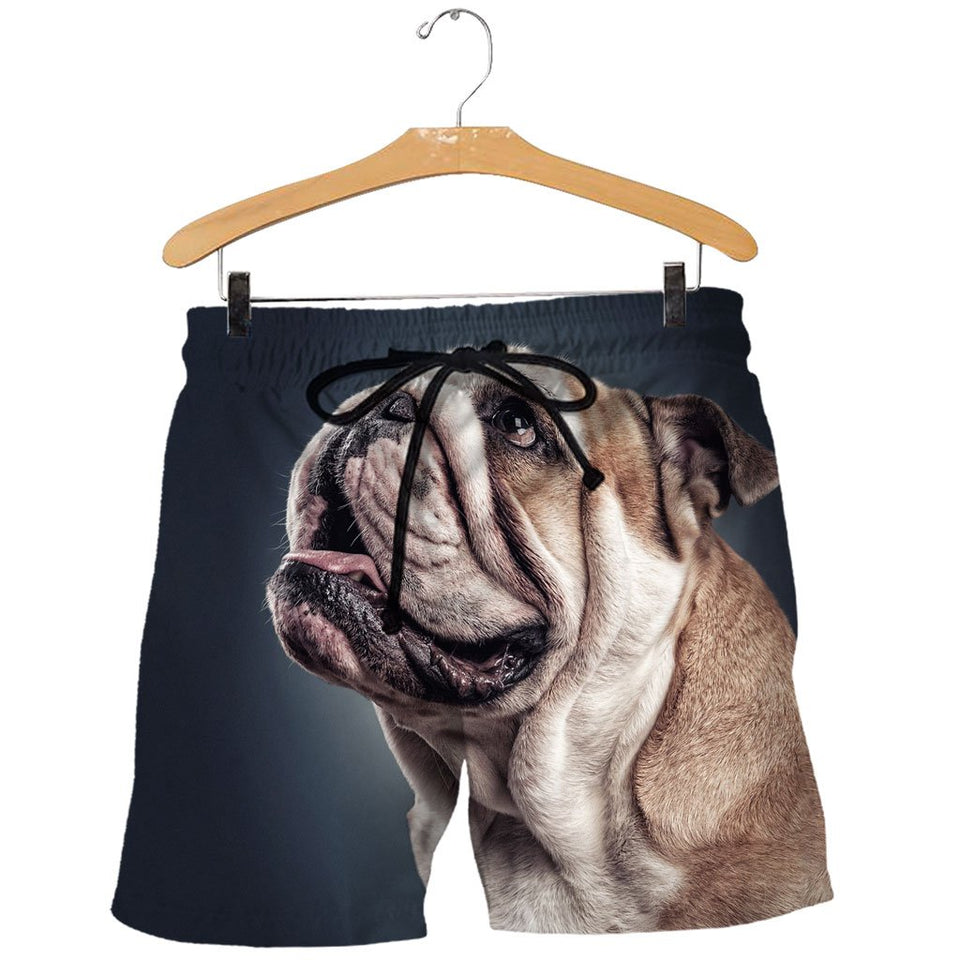 3D All Over Printed Bulldog Shirts And Shorts DT12091906