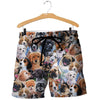 3D All Over Printed Dogs Shirts And Shorts DT23081915