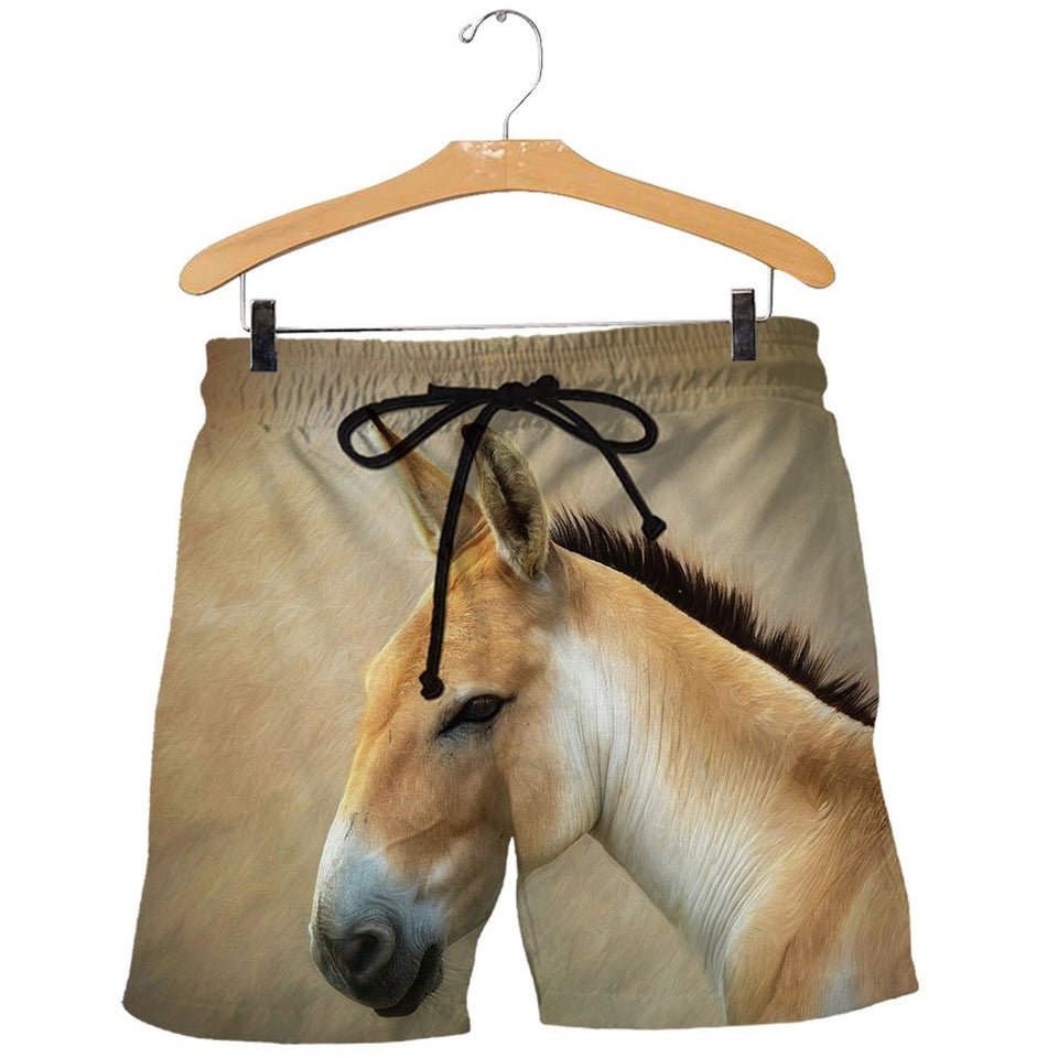 3D All Over Printed Donkey Shirts And Shorts DT02041902