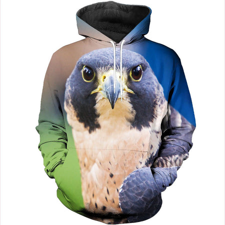 3D All Over Printed Falcon Shirts And Shorts DT101102