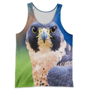 3D All Over Printed Falcon Shirts And Shorts DT101102