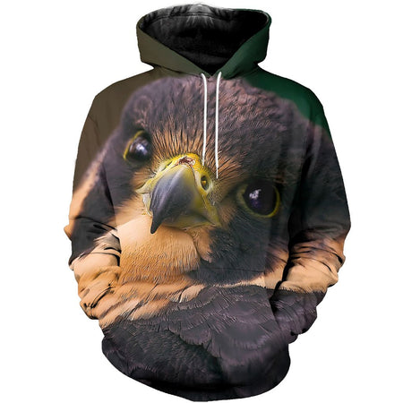 3D All Over Printed Falcon Shirts And Shorts DT231112
