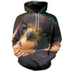 3D All Over Printed Falcon Shirts And Shorts DT231112