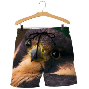 3D All Over Printed Falcon Shirts And Shorts DT231112