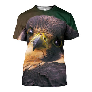 3D All Over Printed Falcon Shirts And Shorts DT231112